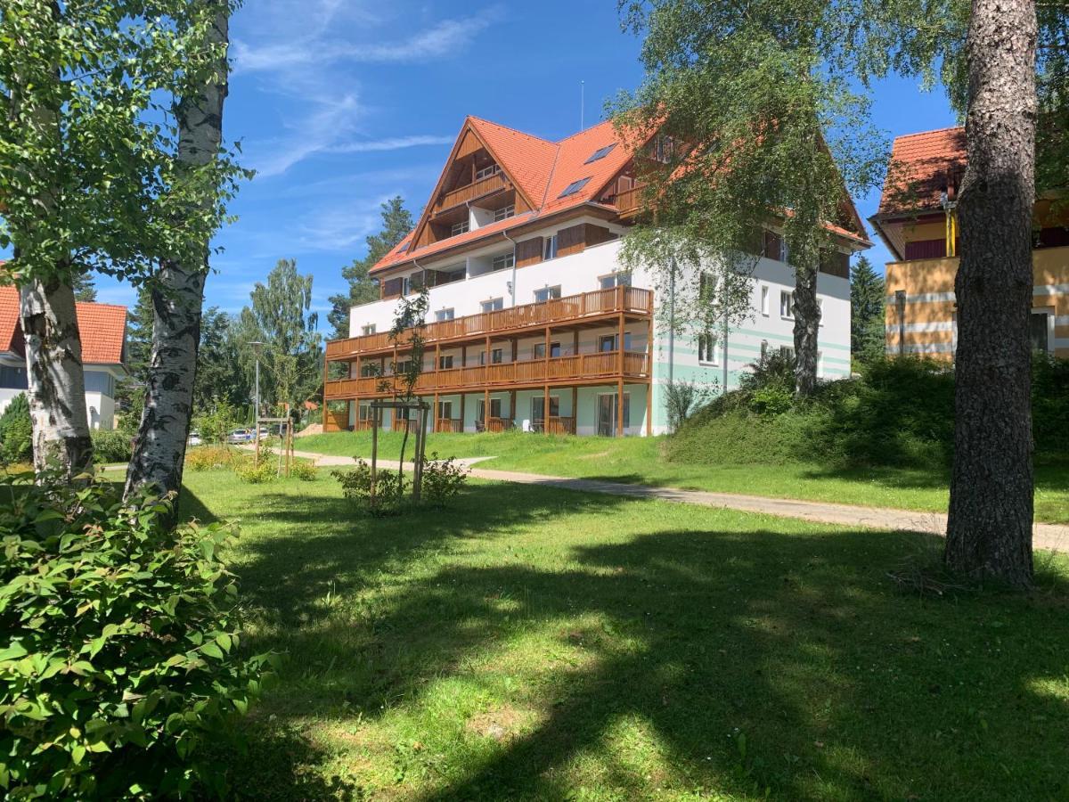 Apartman Kapy Lipno Ліпно-над-Влтавою Екстер'єр фото